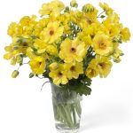 De Ranunculus Butterfly™ Dione®
