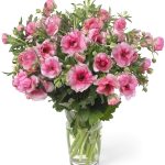 Ranunculus Butterfly™ Hera®