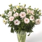 a bouquet of light pink flowers in a glass vase