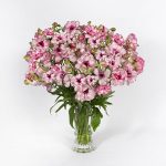 a vase of pink flowers