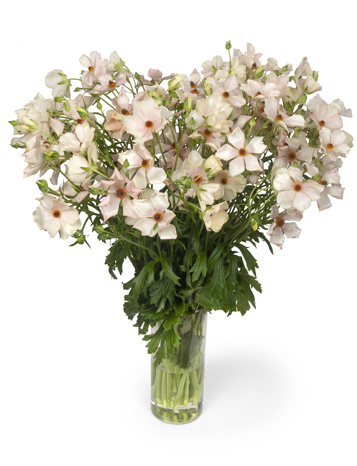 a bouquet of light pink flowers in a glass vase