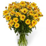 Yellow Ranunculus in a vase