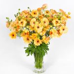 Vase with orange Ranunculus