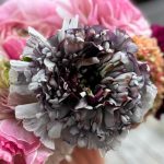 Ranunculus Brushmark Estrada®