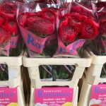 Red flower Ranunculus Romance™ Get Lucky®