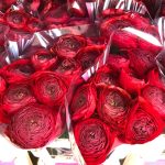 Red flower Ranunculus Romance™ Get Lucky®