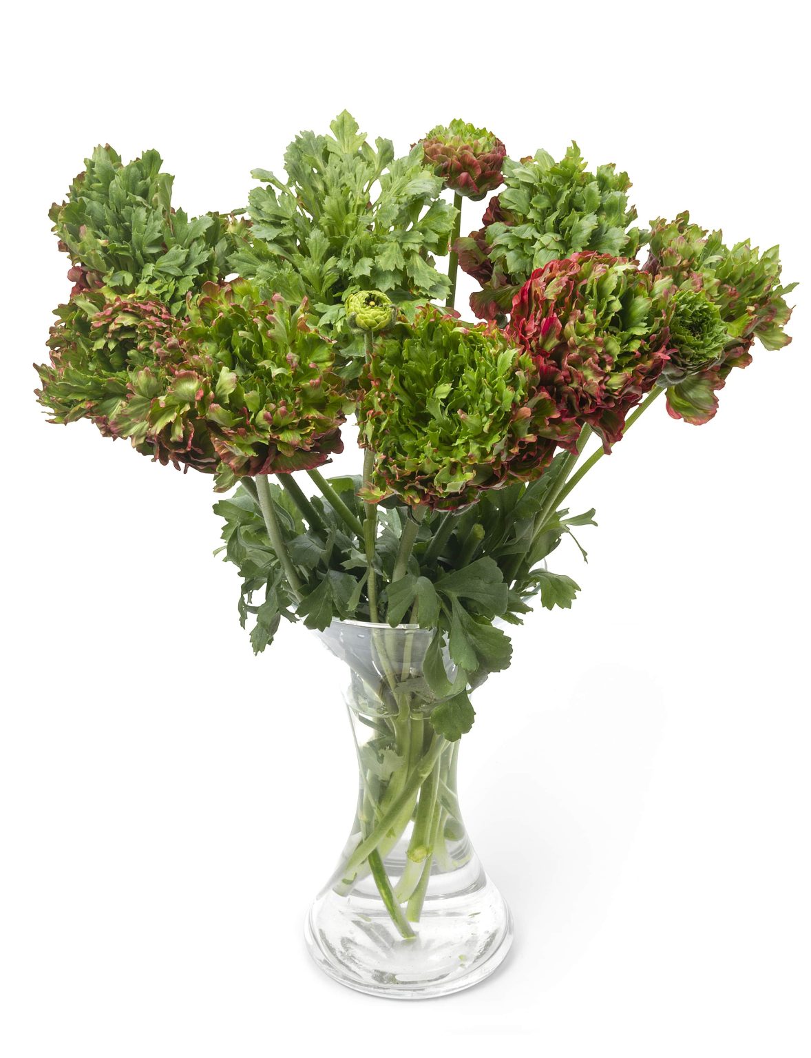 Romance™ Crown Bastille®