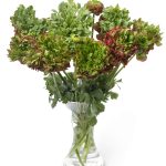 Romance™ Crown Bastille®