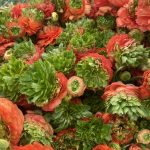 Romance™ Crown Bastille®