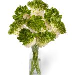 Ranunculus Romance™ Crown Giverny®