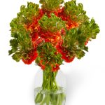 Ranunculus Romance™ Crown Nervion®