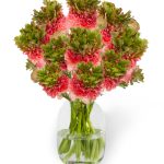 Ranunculus Romance™ Crown Sisteron®
