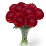 Red flower Ranunculus Romance™ Get Lucky®