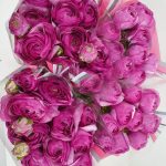 Purple flower Ranunculus Romance™ Loubeyres®