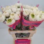 White flower Ranunculus Romance™ Montenvers®