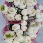 White flower Ranunculus Romance™ Montenvers®