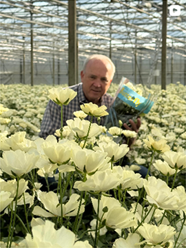Over Monarch Flowers