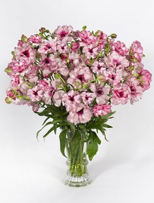 a vase of pink flowers