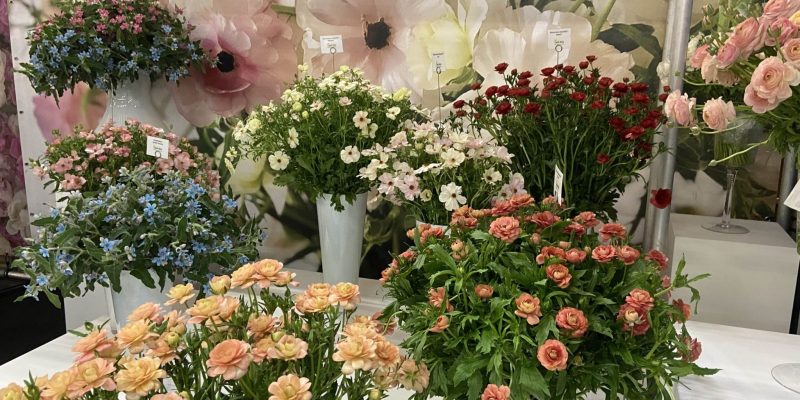 IMG_7881-min-1-scaled