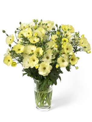 Een bouquet van gele Ranunculus Butterfly in de vaas
