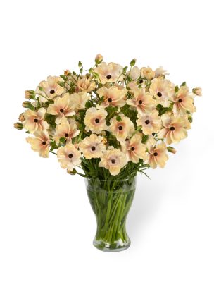 a vase of flowers in cream pink colour