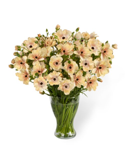 a vase of flowers in cream pink colour