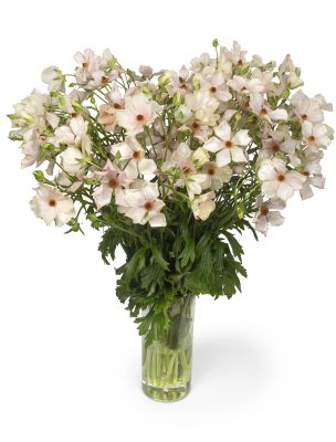 a bouquet of light pink flowers in a glass vase