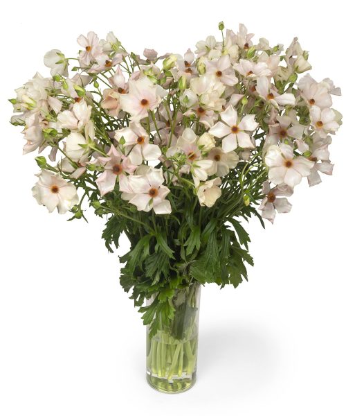a bouquet of light pink flowers in a glass vase