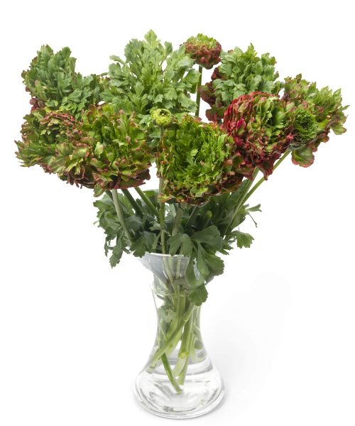 Romance™ Crown Bastille®