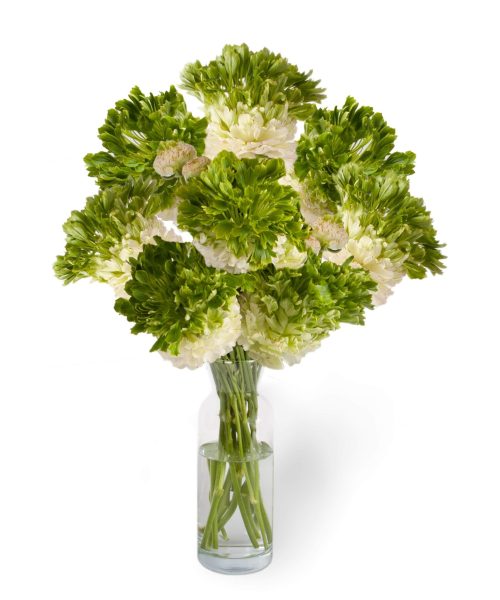 Ranunculus Romance™ Crown Giverny®