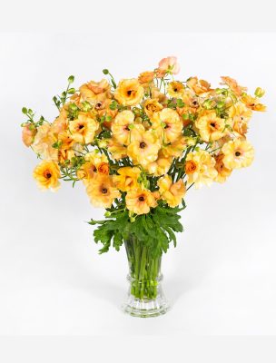 Vase with orange Ranunculus